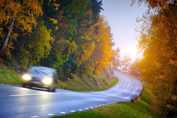 Car on the road in the fores