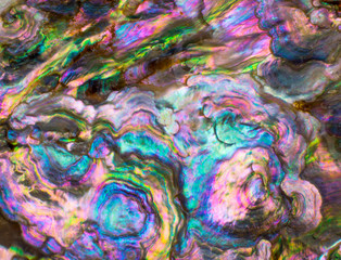 Wall Mural - high magnification macro of pearl shell.