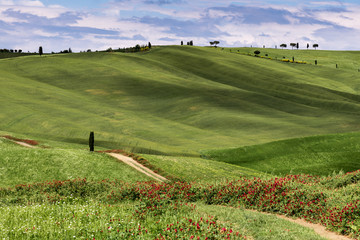 View of the scenic Tuscan countryside