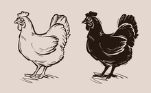 Chicken Vector Logo. Farm, Poultry, Hen, Fowl Icon