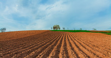 Plowed Field And Cloudy Sky In Sunset