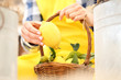 hand harvest a lemon and put it in the basket wicker