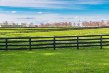 Green pastures of horse farms. Country spring landscape.