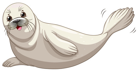 Poster - Seal with white skin smiling