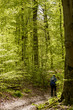 © hal_pand_108 - walking on dirt trail in the springtime woods, Stuttgart