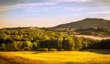 Fototapeta Natura - Tuscan landscape