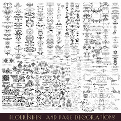 Wall Mural - set of vector calligraphic elements and page decorations