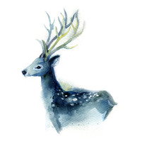 Watercolor Sketch Of The Beautiful Blue Deer On A White Background. Hand Drawn. 