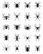 Black silhouettes of different spiders, vector