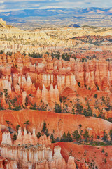 Wall Mural - Bryce Canyon National Park, Utah, USA