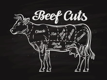 Beef Cuts. Template Menu Design For Restaurant, Cafe