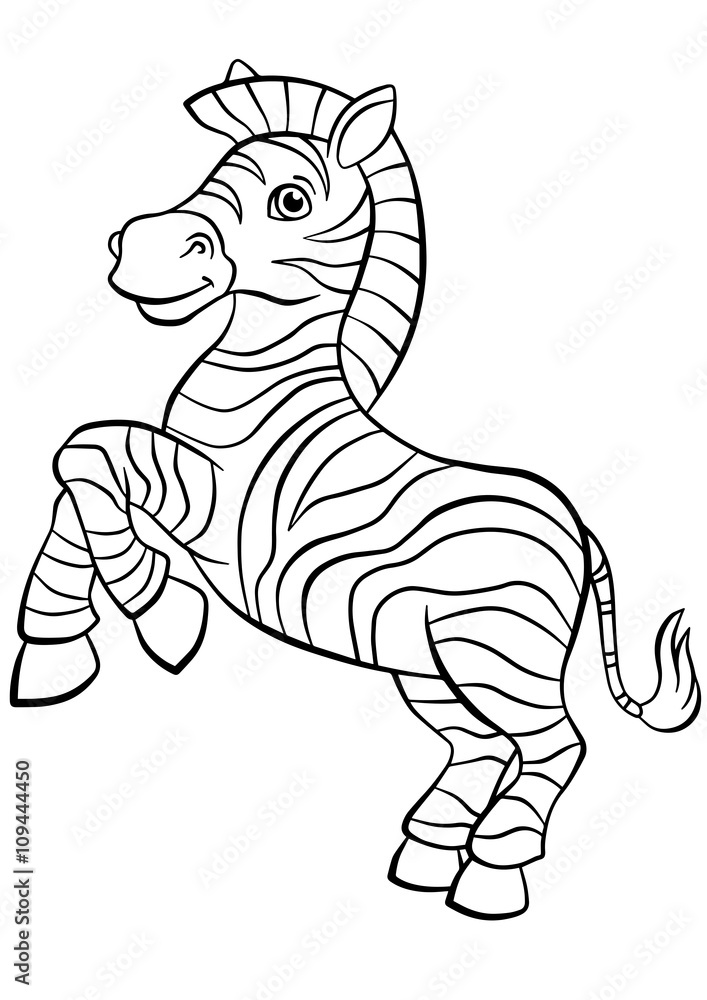 Little cute zebra stands and smiles.