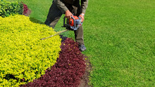 A Man Trimming Shrub With Hedge Trimmer, Green Grass Copyspace