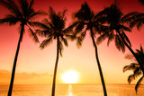 Fototapeta Zachód słońca - Tropical island sunset with silhouette of palm trees, hot summer day vacation background