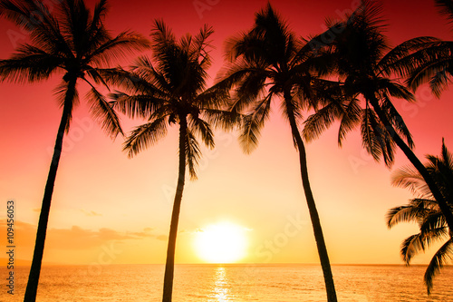 Tropical sunset Tapéta, Fotótapéta