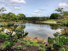 Lake Landscape At Morikami Japanese Gardens