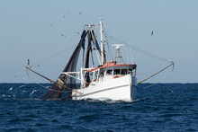 Fishing Trawler At Sea, Port Stephens, NSW, Australia