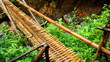 einfache geflochtene Bambusbrücke überspannt Bach im tropischen Regenwald