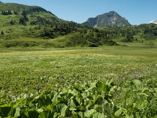 Wall Mural - A view of Alpine mountains surrounding the village Schocken in Bregenzerwald, region Vorarlberg, Austria