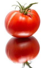 Wall Mural - Bursting of the tomato and its reflection