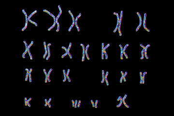 Wall Mural - Down-syndrome karyotype, female, unlabeled, isolated on black background. Trisomy 21. 3D illustration