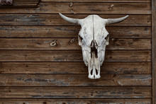 Bull Skull On A Vintage Wooden Background