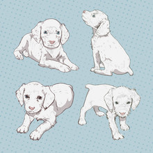 Set Of Little Puppy Hand-drawing