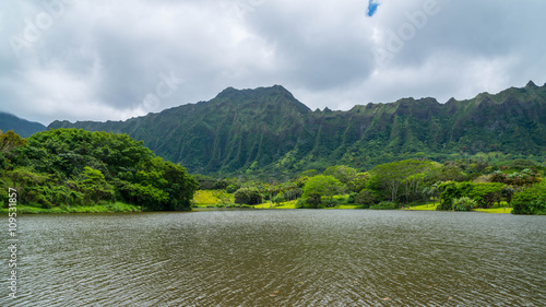 The Hawaiian Rain Forest Of Botanical Gardens On The Tropical