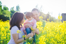 Mid Adult Couple With Toddler Daughter In Field Of Yellow Blossoms