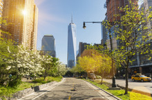 Manhattan Financial District Cycle Path And One World Trade Center, New York, USA