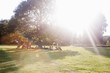 © Connect Images - Adults friends sitting under a tree at sunset party in park