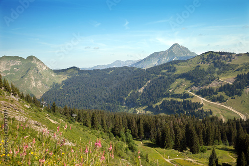 Fotografie, Obraz Top view of French Alps near from Morzin