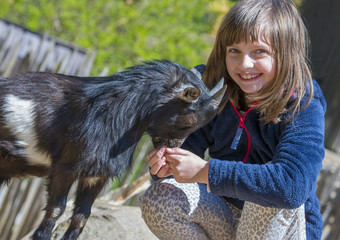 Wall Mural - little girl with goat