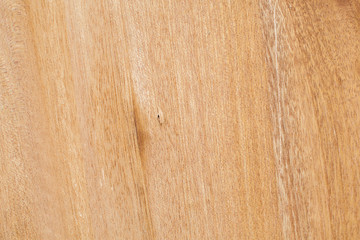 Wall Mural - Texture of wood background / wood texture