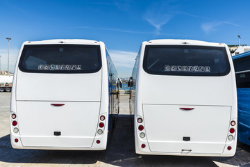 Wall Mural - Two white buses parked at the port