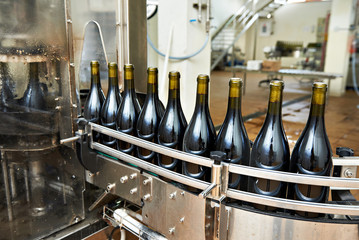 Bottling and sealing conveyor line at wine factory