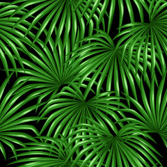 Naklejka wzór lato sztuka roślina tropikalny