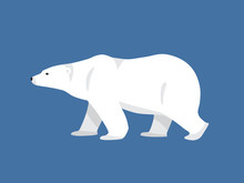 Polar Bear Hand Drawn Illustration, Flat Style