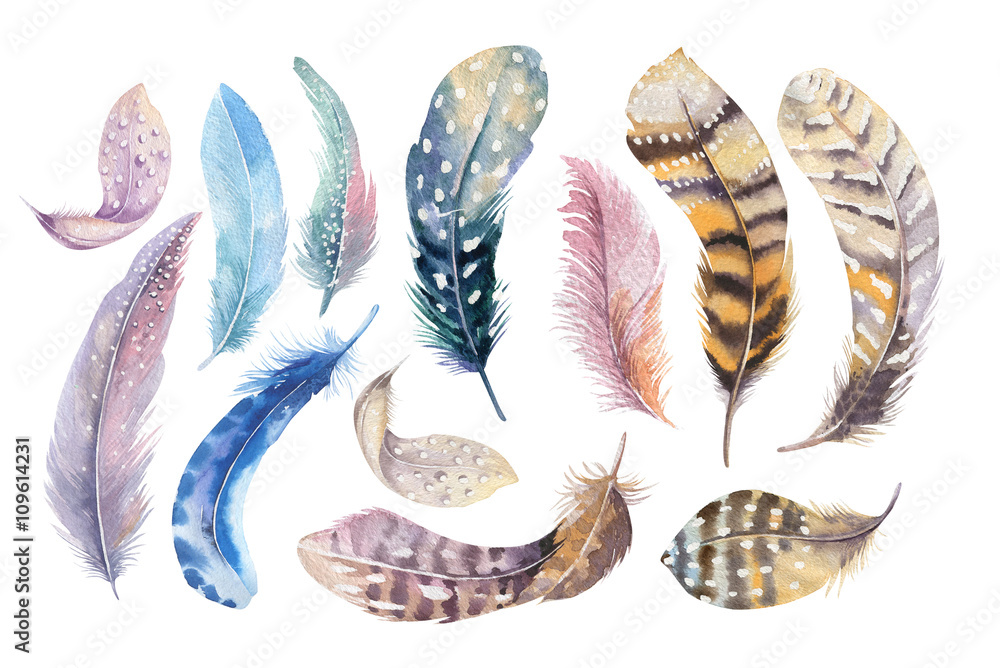 Hand drawn watercolor paintings vibrant feather set. Boho style Stock ...