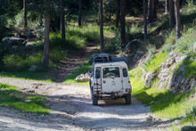 SUV Rides On The Country Road In Forest, Israel