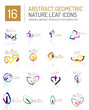 © antishock - Geometric leaf icon set