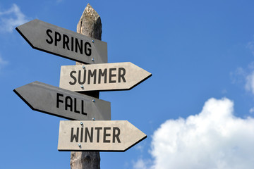 Poster - Spring, summer, fall, winter signpost