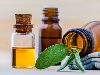 Wall Mural - Bottle of essential oil with  fresh sage leaves shallow depth of