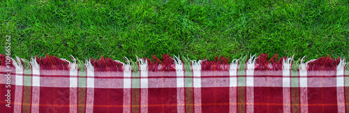 Plakat W kratkę szkockiej kraty Pykniczny Zielonej trawy tło