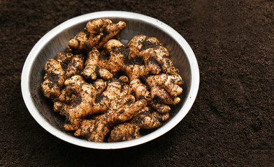 Wall Mural - Newly harvested ginger