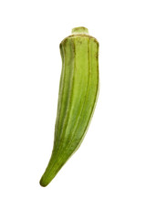 Sticker - okra