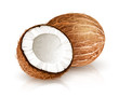 Coconut tropical nut fruit with cut eps10 vector illustration isolated