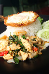 Canvas Print - Fried pork basil and egg with rice thai food