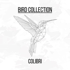 Colibri bird geometric lines silhouette isolated on white background vintage design element