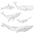 Geometric whale set
